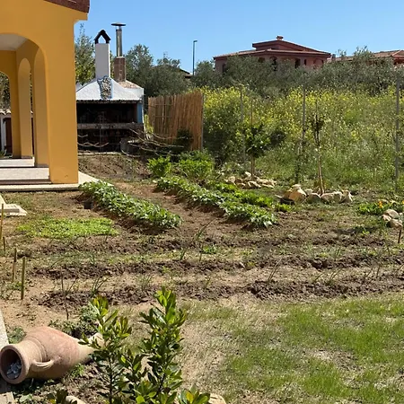 Casa Cruccas