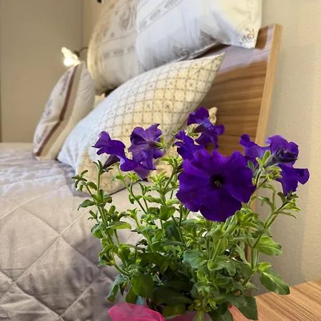 Casa Cruccas Bed & Breakfast Castiadas